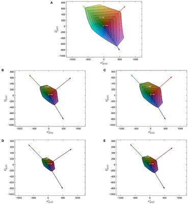 Perceived Color Gamut in Images: From Boundary to Difference